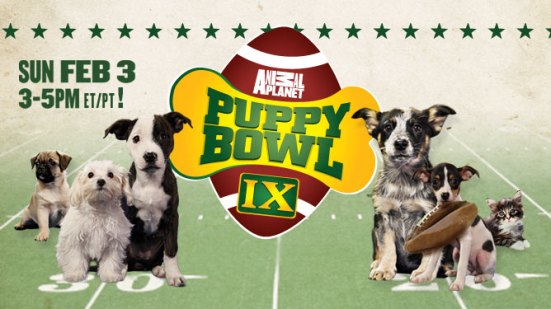 Puppy-Bowl