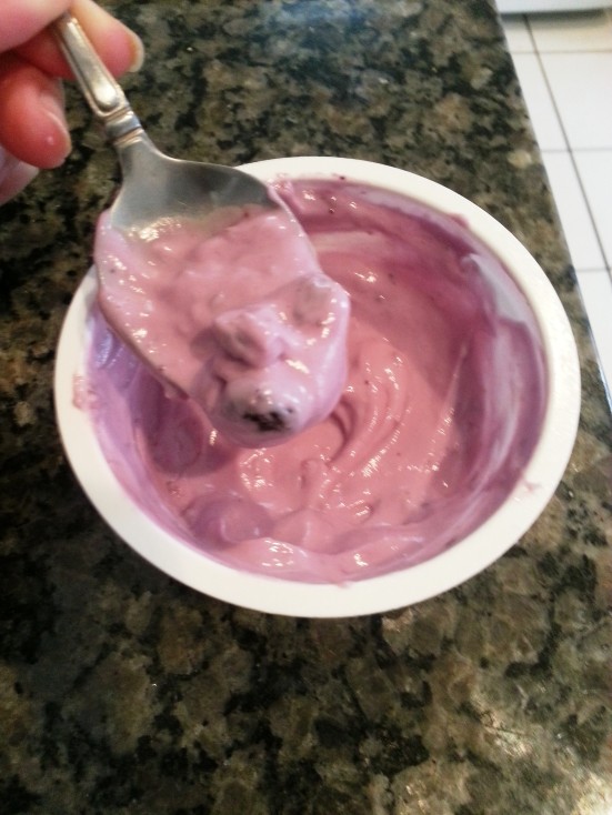 blueberry greek yogurt